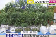 マンション8部屋を借り壁を全て破壊し１つのフロアにして大麻栽培していた男(41)を逮捕