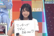 【日向坂46】メンバーの大喜利スキルが恐ろしいことになってるんだが…