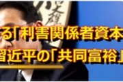 【岸田さん駄目だよ！習近平と同じ事言ってるよ！】自民党総裁候補の岸田文雄氏の経済政策「利害関係者資本主義」は中国共産党の習近平「共同富裕」とほぼ一緒！