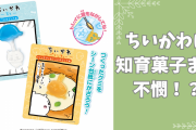 ちいかわは知育菓子まで超不憫！？残忍な姿を作るグミキットに「字面強すぎて草」