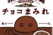 【将棋】藤井聡太二冠「カントリーマアムのチョコまみれは美味しい」