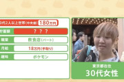 【悲報】ポケモン好き30代日本人さん、貯蓄額0円　なお海外・・・