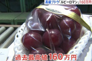 【悲報】超高級ブドウ｢ルビーロマン｣､県職員の凡ミスで商標登録できず 同名のブドウ売り放題