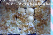 【画像】たこ焼き作ってみたｗｗｗ