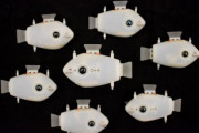 群れで泳ぐことのできる「魚型ロボット」が開発される　世界で初めて　米ハーバード大学研究