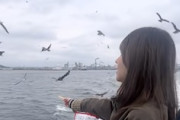 【動画】カモメにかっぱえびせんをあげたかった女子の悲劇ｗｗｗｗｗ