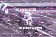 【競馬】＜画像＞中山牝馬Sの判定写真がすごいことに