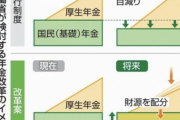 厚労省「あかん、このままやとガチで国民年金崩壊しそうや……せや！」
