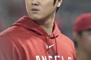 【画像】大谷翔平からメールきたあｗｗｗｗｗｗｗｗｗｗｗｗｗ