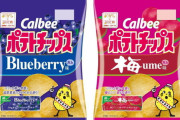 【悲報】ポテトチップスさん、気が狂ってる味を出してしまう