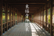 海外「まるで映画！」「パワーをもらえた」静かで美しい動画で歩く、京都・東福寺