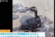 黒海でロシア籍タンカーの漂流相次ぐ、新たに3隻目…2隻からは原油が流出し広範囲に！