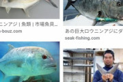 人間「鯵うめぇ」中・大型魚「鯵うめぇ」海獣「鯵うめぇ」鳥「鯵うめぇ」
