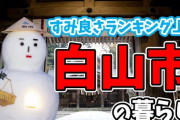 【謎】北陸「食べ物美味しいです、家広いです、病院多いです、四季がはっきりしてます」←住まない理由
