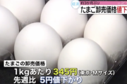 【朗報】卵のインフレ、ついに終わる