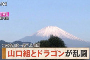 山口組、ドラゴンと乱闘