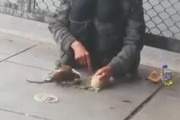 【動画】ネズミを自在に操るホームレスあらわるｗｗ