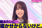 櫻坂46菅井友香に付き合ったら尽くすタイプか聞いた結果・・・