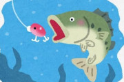 ブラックバス釣りしたいけどバスが可哀想でできない……