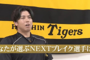【動画】阪神の選手が選ぶNEXTブレイク選手