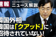 韓国さん「日本は韓国のG7参加に反対しながらクアッドに参加して日本の盾になれと言ってるニダ」