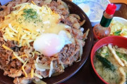 すき家のチーズ牛丼食いに来たｗｗｗ（※画像あり）