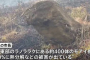 【悲報】イースター島で大火災、逃げ遅れたモアイが損傷してる模様