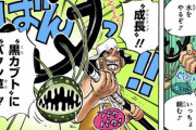 【ONEPIECE】ウソップが銃使わないのは何でだろ