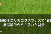 クイーンS武豊騎手エリカエクスプレスで4着惜敗　展開噛み合うも敗れた背景