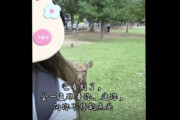 【鹿】中国人女性が奈良でシカに襲われけが＝中国ネット「こんなに凶暴なの？」