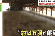 【悲報】和歌山で14万羽が餓死！　放置された大量のフンから火災も！！　ブランド鶏「紀州うめどり」経営破綻の裏に不可解な動き
