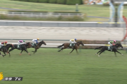 8/30(日) 第2回中京2歳ステークス(GⅢ) 反省会