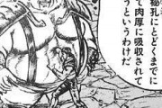 【驚愕】「北斗の拳」で一番見応えある戦いと言えばｗｗｗｗｗ