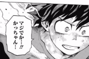 僕のヒーローアカデミアを一気に読んで思ったんやが
