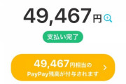 お前らpaypayで何買った？