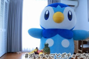 ポケモン公式さん、ここに来て何故かポッチャマを押し始めるｗｗｗｗ