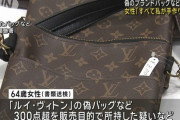 【悲報】偽ルイ・ヴィトンのバッグを自作して販売していたガッツのあるBBA、捕まる