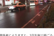 韓国人「秋葉原駅で女が刃物で切りつける事件が発生！」→「アノ国は毎日色々な事が起こっていますね」　韓国の反応