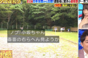 【日向坂46】小坂菜緒、MC千鳥ノブさんに贔屓されるwwww【クイズTHE違和感】