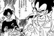 【ドラゴンボール】天津飯「ベジータと平気で一緒に住んでるヤムチャの気が知れんぜ」←これさぁｗｗｗ