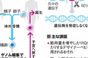 遺伝子操作してイケメンや頭のいい子を産む「ゲノム編集」、流行りそう