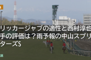 フリッカージャブの適性と西村淳也騎手の評価は？雨予報の中山スプリンターズS