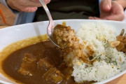 「カレーをかき混ぜて食べるのだけはやめて」と妻が懇願、どう返すのが正解？