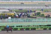 【美浦トレセン事故】追い切り中に落馬した調教助手が死亡