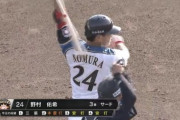 日ハム野村、1HR含む4安打5打点ｗｗｗｗｗｗｗｗ