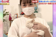 【朗報】橋本環奈ちゃん(22)、ネズミを飼うｗｗｗｗｗｗｗｗｗｗｗｗｗｗ