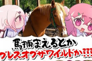【さくゆい旅行】さくゆい、乗馬でご満悦　「さくゆい乗馬デートいいですねぇ！」「ウキウキ椎名さんかわいいわ」【にじさんじ】