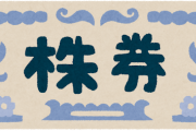 【悲報】 ゆとり新入社員、自社株の51％を買ってしまう