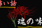 【怖い話】魂の味