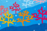 東京湾でサンゴがすごいペースで増えている